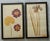 2000 - 2009 Vintage Framed Pressed Flowers, a Pair For Sale - Image 5 of 12