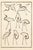 A captivating example of early 19th-century Japanese art, this vintage art print reproduction set features Crane Studies I...