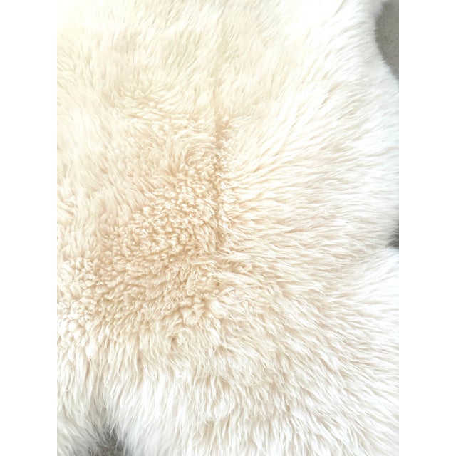Beautiful Pottery barn Australian Sheepskin Hide, Perfect to drape on a chair or floor. Lots of options, super soft in...