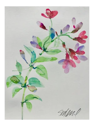 Botanical 41, Original Watercolor, 9x12”
