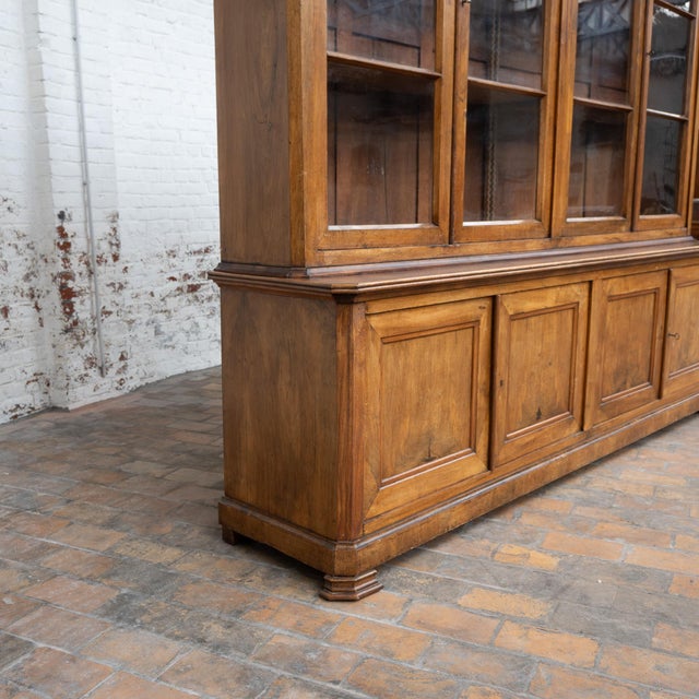Large Walnut Display Bookcase, 19th Century For Sale - Image 10 of 14