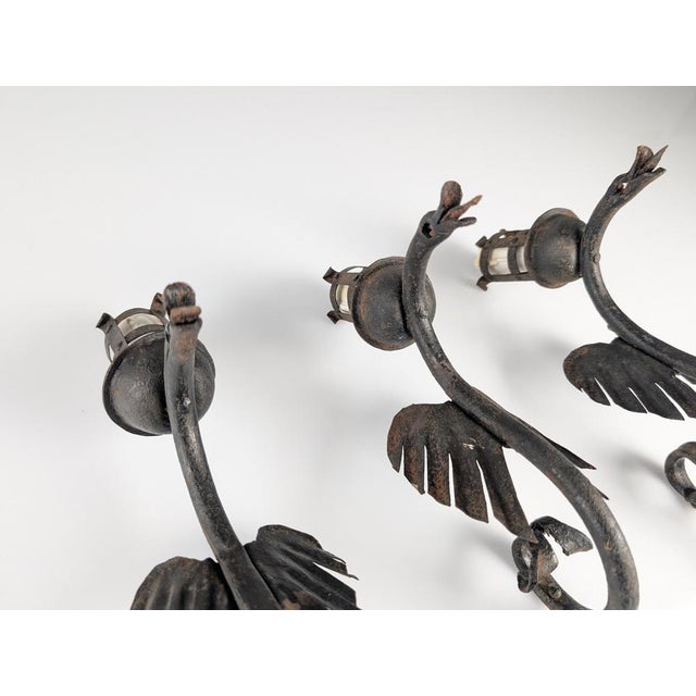 Metal Wrought Iron Dragon Wall Lights, 1890s, Set of 3 For Sale - Image 7 of 8