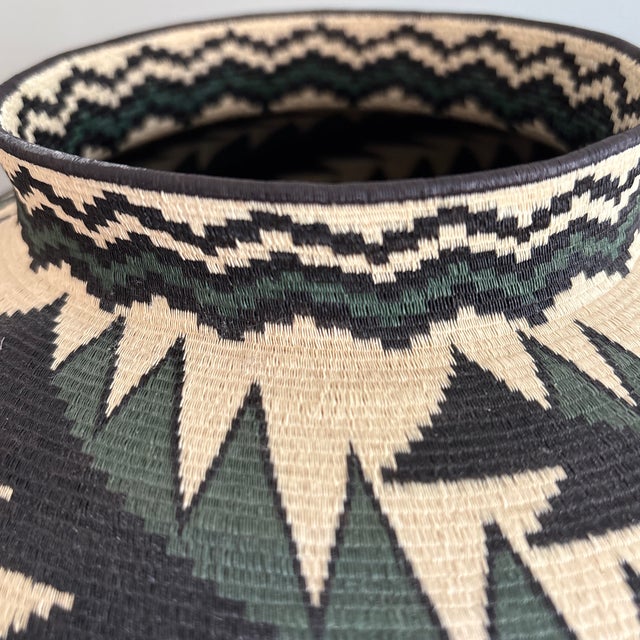 Beautiful 21st Century Wounaan Rainforest Basket For Sale - Image 9 of 10
