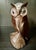 This lovely Wise owl perched and watching is carved from a single piece of ironwood. Lovely wood grain and detail expected...
