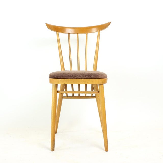 Mid-Century Modern Dining Chairs from Tatra, Former Czechoslovakia, 1960s, Set of 4 For Sale - Image 3 of 11