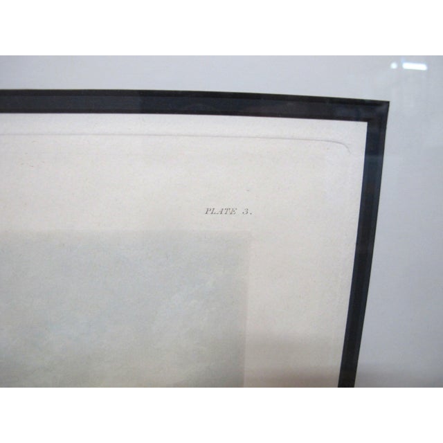 Henry Alken Fores Hunting Sketches Plate 3 Right & Wrong Sort J Harris Engraving For Sale In Portland, OR - Image 6 of 13
