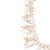 1970s Coastal Undyed Branch Angel Skin Coral Large Graduated Necklace Pale Pink For Sale - Image 4 of 7