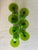 Carlo Moretti 7 VTG Murano Lime Chartreuse Green Cased Long Stem Wine Glasses Carlo Moretti For Sale - Image 4 of 7
