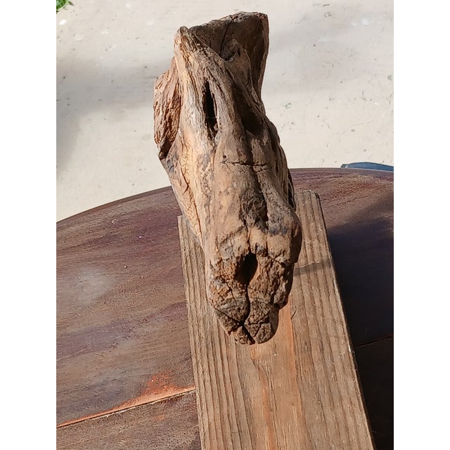 Coastal Driftwood Abstract Whale / Fish on Stand Coastal Decor For Sale - Image 3 of 5