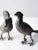 Mid-Century Pheasant Figurines Pair For Sale - Image 9 of 11