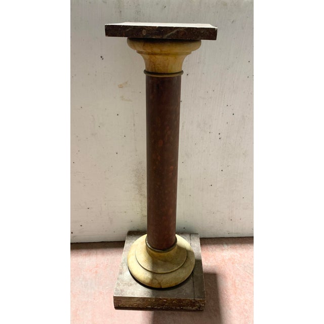 Brown 20th Century Louis XVI Display Column in Patinated Beechwood For Sale - Image 8 of 8