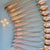 1930s Art Deco Silverplate Ice Tea Spoons (12 Pc), Mildred Pattern Pristine For Sale - Image 4 of 18