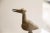 Vintage African Bird Sculpture For Sale - Image 4 of 7