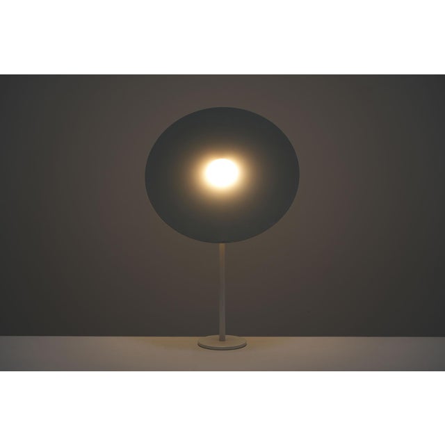 Hat Lamp by Frans Van Nieuwenborg for Designum For Sale - Image 6 of 9