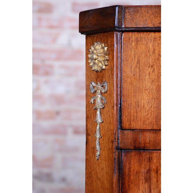 Traditional Empire Cabinet in Oak, Spruce, Mahogany Veneer and Brass, Austria, 1810s For Sale - Image 3 of 17