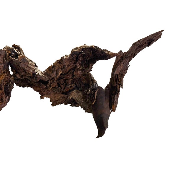Late 20th Century Signed Lubomir Tomaszewski Monumental Wood and Copper Bird Sculpture, 45 Inches For Sale - Image 9 of 15