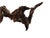 Late 20th Century Signed Lubomir Tomaszewski Monumental Wood and Copper Bird Sculpture, 45 Inches For Sale - Image 9 of 15