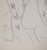 Henri Matisse, Femme nue au voile, Nude, Lithograph For Sale - Image 5 of 6