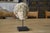 Sculpture of a Head, 19th Century, Reconstituted Stone For Sale - Image 4 of 12