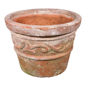 Antique Patio Planter, English, Terracotta Ornamental Tree Jardiniere, Victorian