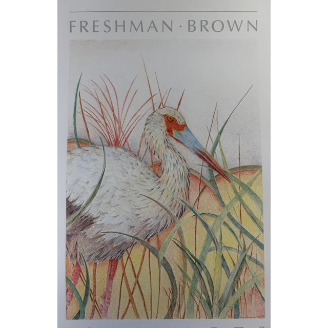 Realism 1984, White Ibis, Offset Lithograph Print, Artist Louise Freshman Brown For Sale - Image 3 of 6