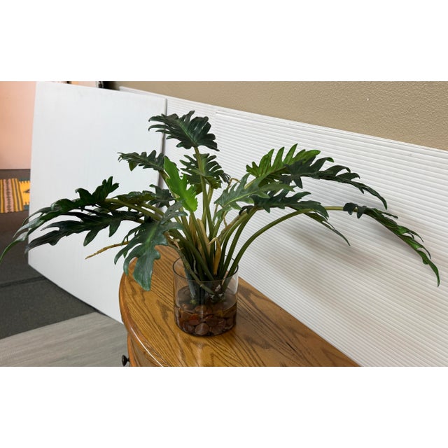 Artificial Philodendron Xanadu Plant + Clear Glass Vase For Sale - Image 4 of 12