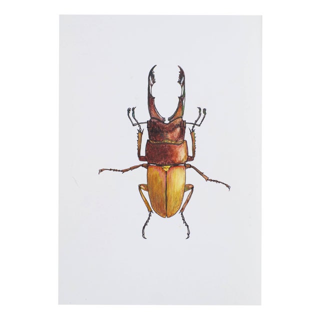 Juris Utans, Clingy Brown Beauty, 2021, Mixed Media on Paper For Sale