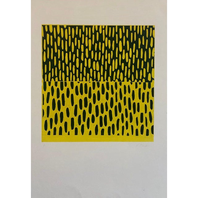 Pierre Andre Obando creates process oriented abstract paintings. He was born in Belize City, Belize and grew up in the...