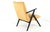 De Lier Lounge Chair For Sale - Image 14 of 16