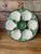 1920s Antique French Longchamp Majolica Green and White Oyster Plate For Sale - Image 13 of 14