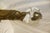 Mid-Century Modern 1990s Mid Century/Modern Deco Bronze For Sale - Image 3 of 17