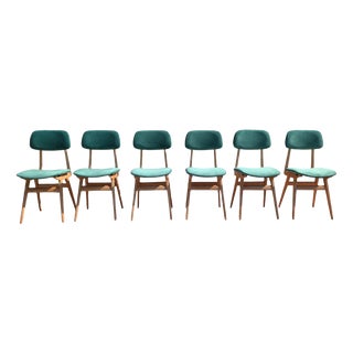 Chairs in Maple Wood and Sea Green Velvet, 1950s, Set of 6 For Sale
