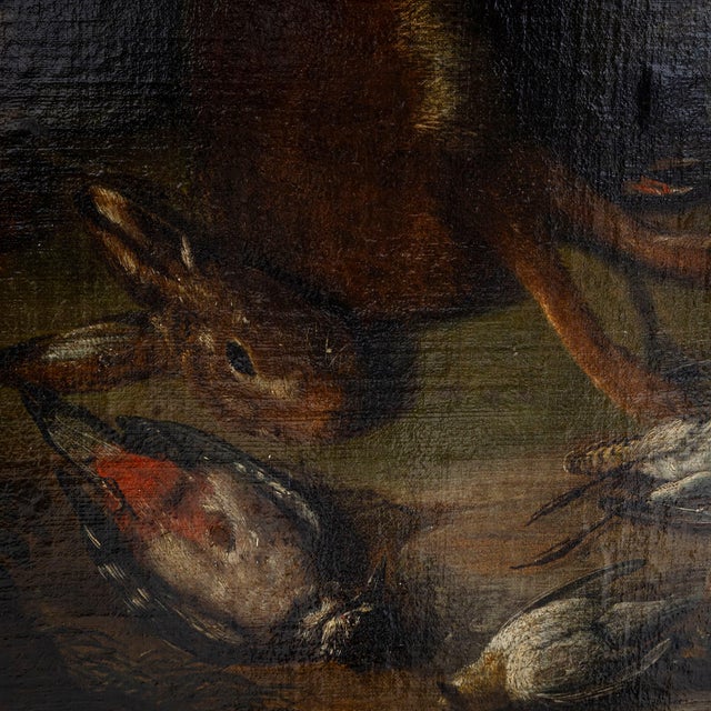 Baroque Artist, Hunting Still Life with Dog, 18th Century, Large Oil on Canvas, Framed For Sale - Image 9 of 14