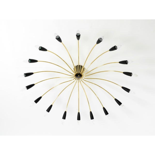 Mid-Century Modern Brass Sputnik Ceiling Lamp, 1950s For Sale - Image 4 of 18