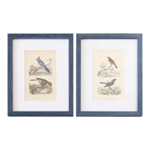 Custom Framed Antique Bird Engravings - Set of Two