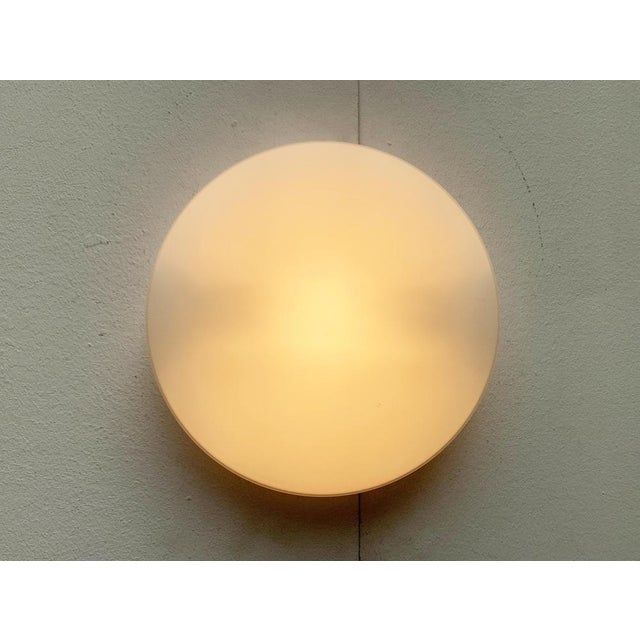 Vintage German Space Age Diskus Wall Lamp from Peill & Putzler, 1970s For Sale - Image 6 of 18