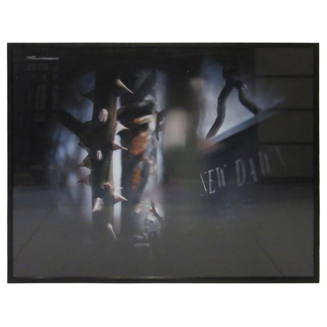 1992 Susan Wides Modern New York Photograph Chromogenic Print "New Dawn" For Sale - Image 9 of 9