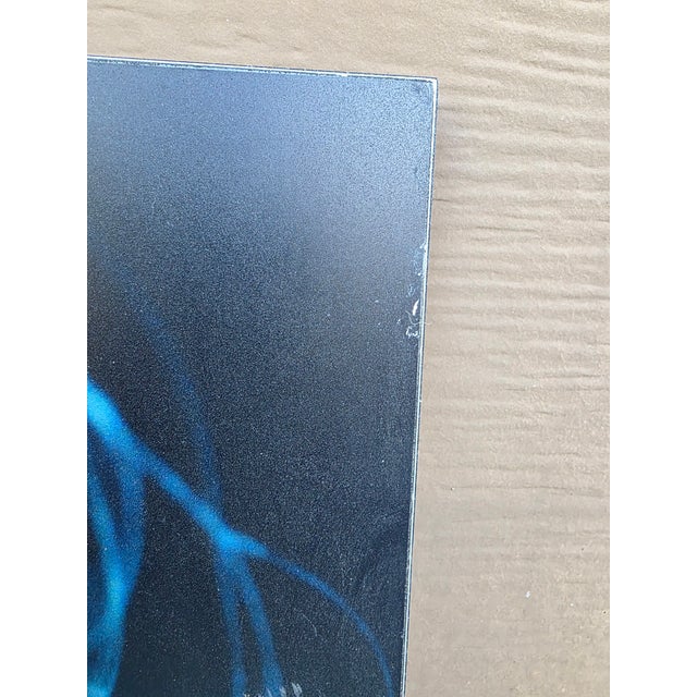 Frank and Gail Zappa Estate 1970s Diva Zappa Jellyfish Photo on Board For Sale In Sacramento - Image 6 of 16
