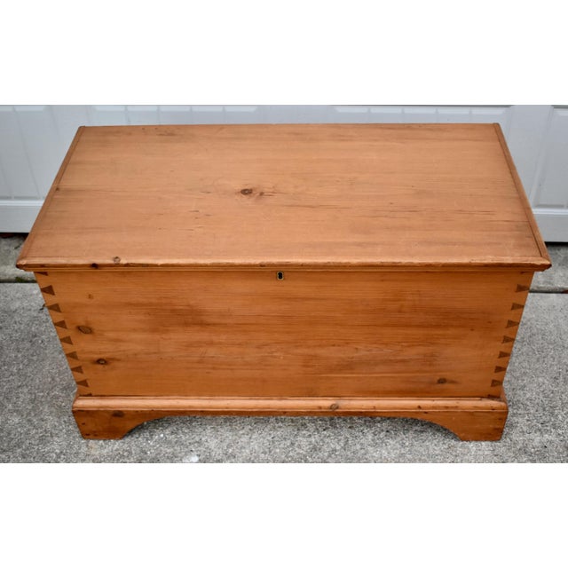 Vintage Doveatiled Pine Trunk Farmhouse Stye Blanket Chest Storage For Sale - Image 11 of 15
