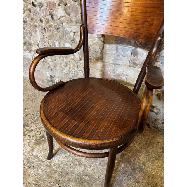 Antique Bentwood Armchair by Fischel, 1890s For Sale - Image 5 of 18