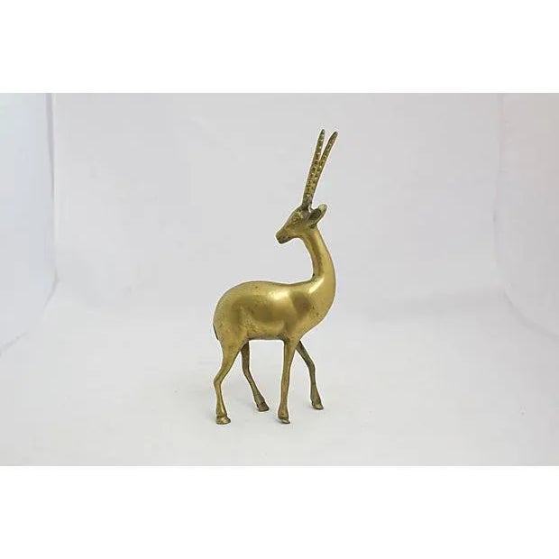 Mid-Century Brass Gazelle For Sale - Image 4 of 5