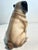 Ceramic MCM Italian Gumps Hand Painted Porcelain Pug For Sale - Image 7 of 8