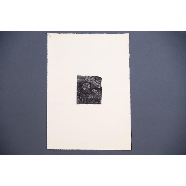 Japanese Artist, Flowers, Etchings, 1973, Set of 2 For Sale - Image 3 of 7
