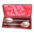 Antique Silver Plate Gift Set of Serving Spoons Circa 1870-A Pair of 2 For Sale