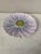 French Majolica Daisy Marcel Guillot Vallauris, circa 1950. 8.2 inches diameter.