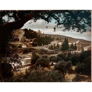 American Colony Jerusalem, Vintage Large Albumen Photo Jerusalem Photograph American Colony Mt Zion Trees, 1890-1920 For Sale