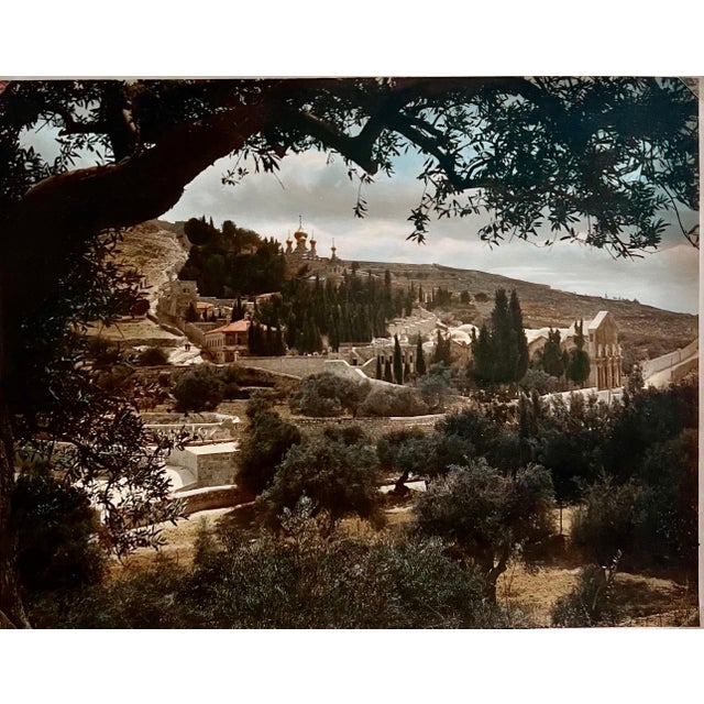 American Colony Jerusalem, Vintage Large Albumen Photo Jerusalem Photograph American Colony Mt Zion Trees, 1890-1920 For Sale