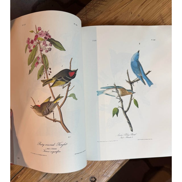 1979 the Art of Audubon Hardcover Coffee Table Book For Sale - Image 6 of 12