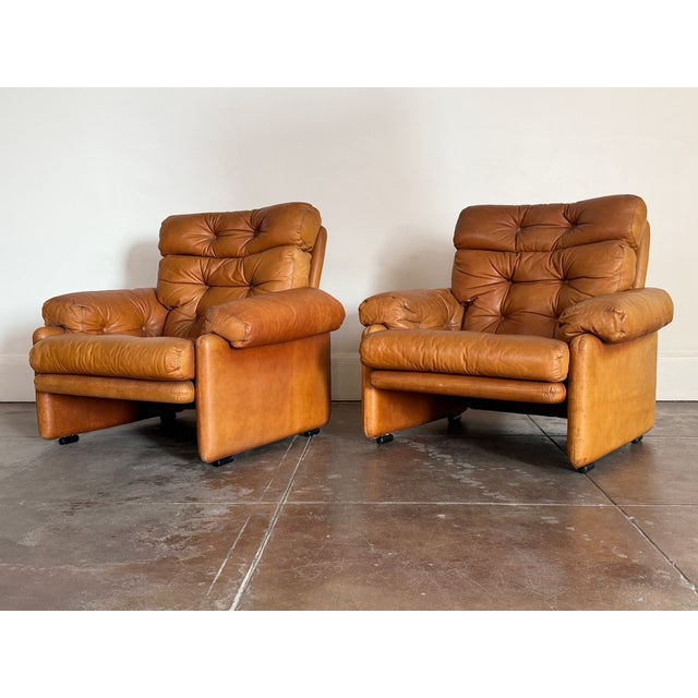Animal Skin 1970s C & B Italia Leather Lounge Chairs For Sale - Image 7 of 12