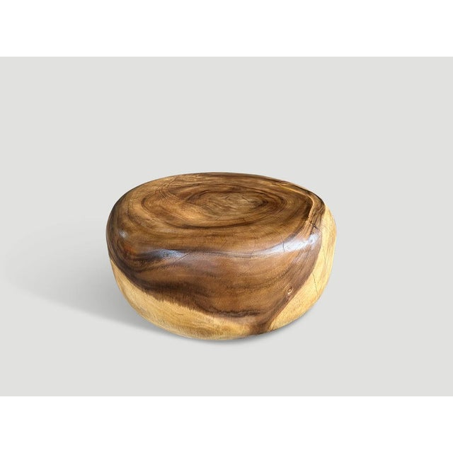 Contemporary Andrianna Shamaris Impressive Drum Style Solid Wood Coffee Table For Sale - Image 3 of 6